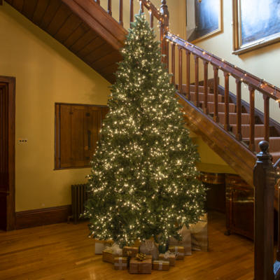 Windsor Fir Artificial Pre-Lit PE Christmas Tree 6.5FT, 7.5FT, 8.5FT, 10FT, 7.5ft (2.3m)